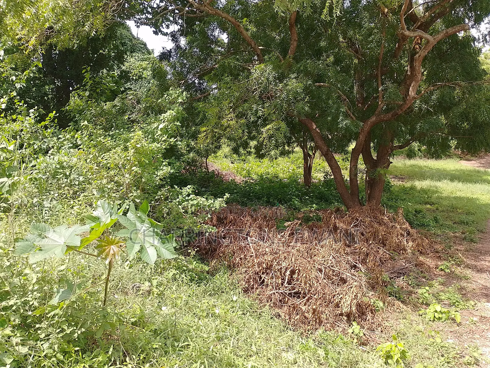 1⁄2 Acre Plot | 2nd Row Diani | Municipal Water | Behind Tandoori