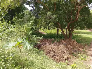 1⁄2 Acre Plot | 2nd Row Diani | Municipal Water | Behind Tandoori