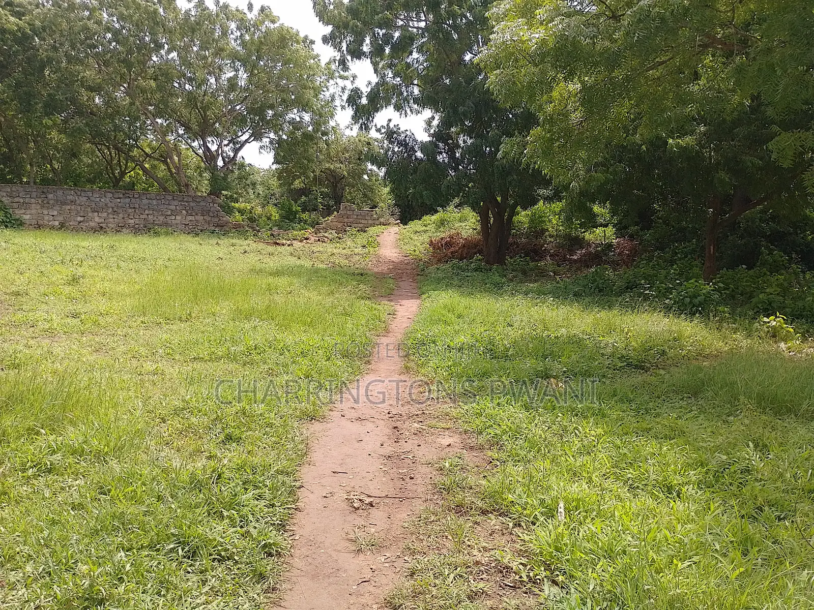 1⁄2 Acre Plot | 2nd Row Diani | Municipal Water | Behind Tandoori