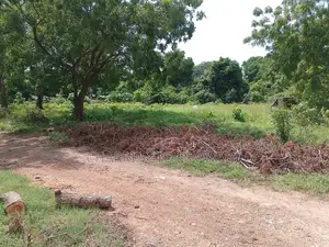 1⁄2 Acre Plot | 2nd Row Diani | Municipal Water | Behind Tandoori