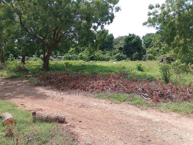 1⁄2 Acre Plot | 2nd Row Diani | Municipal Water | Behind Tandoori - thumbnail 5