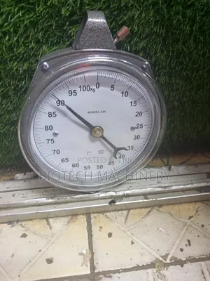 Salter 100kgs Analogue Hanging Scale