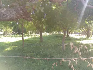 1 Acre Plot | Kongo Riverfront | 3rd Row Diani | Sunset Views