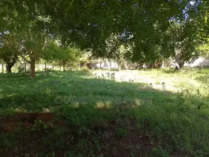 1 Acre Plot | Kongo Riverfront | 3rd Row Diani | Sunset Views
