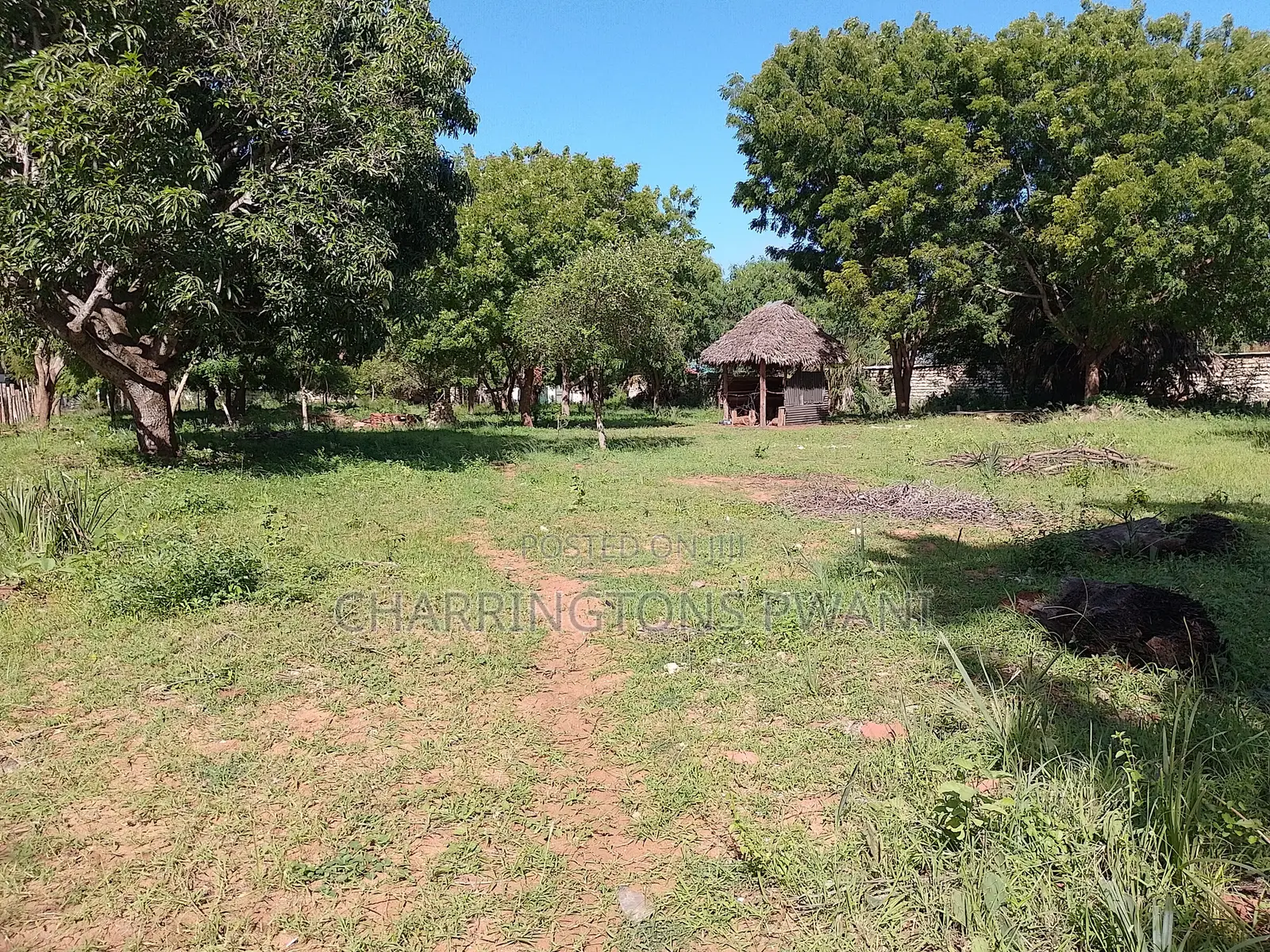 1 Acre Plot | Kongo Riverfront | 3rd Row Diani | Sunset Views
