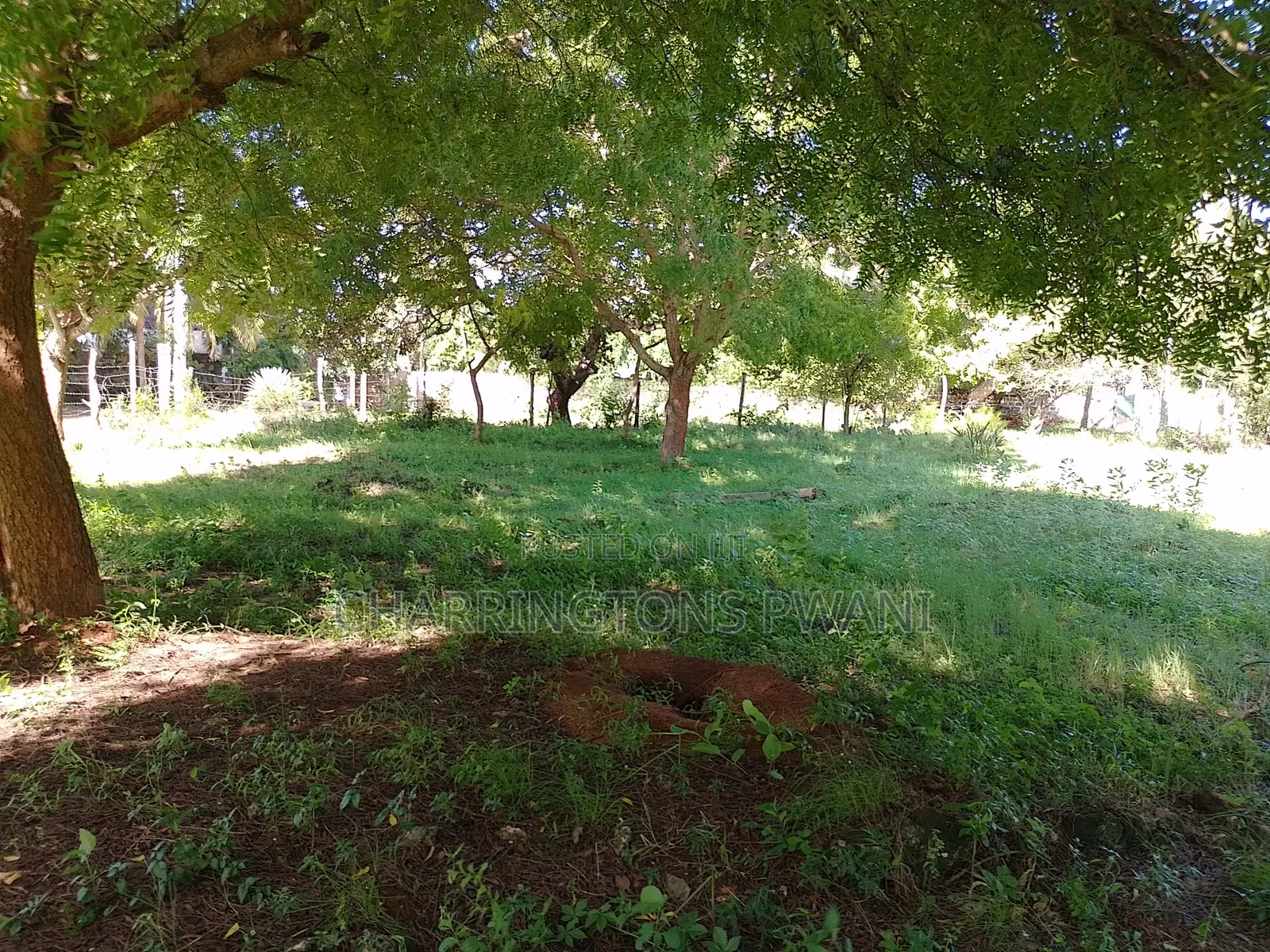 1 Acre Plot | Kongo Riverfront | 3rd Row Diani | Sunset Views
