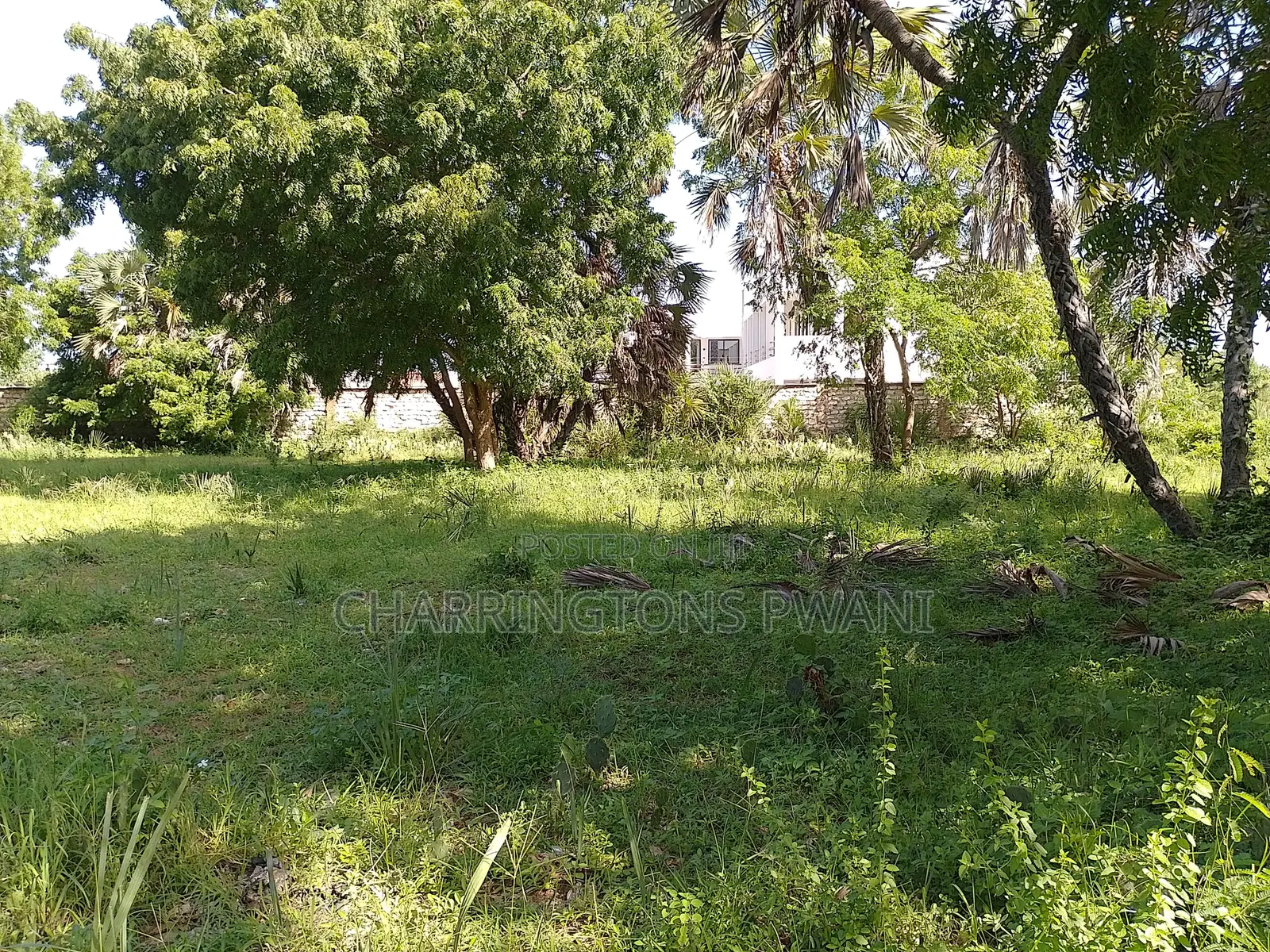 1 Acre Plot | Kongo Riverfront | 3rd Row Diani | Sunset Views