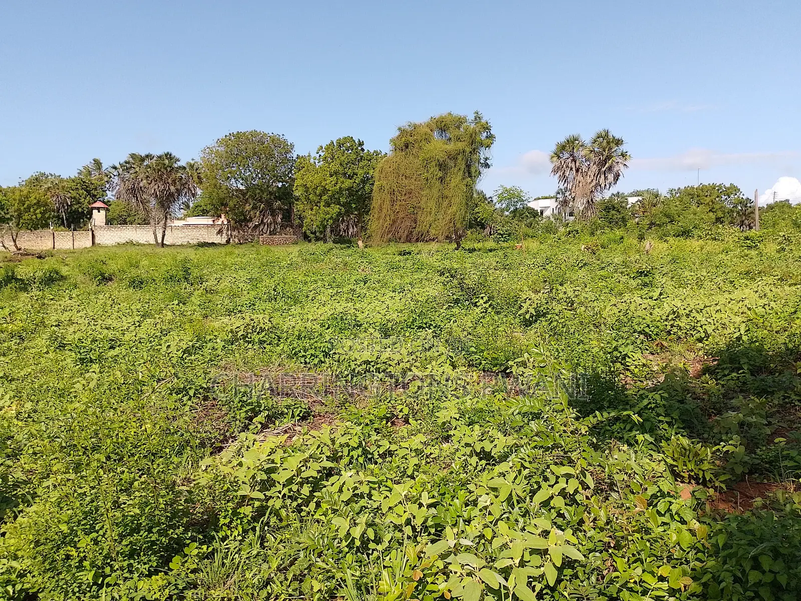 1 Acre Plot | Kongo Riverfront | 3rd Row Diani | Sunset Views
