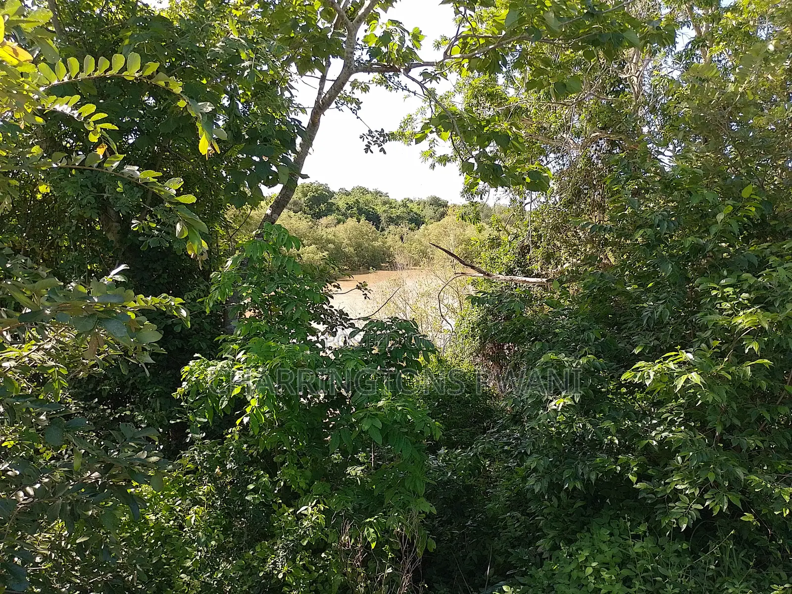 1 Acre Plot | Kongo Riverfront | 3rd Row Diani | Sunset Views
