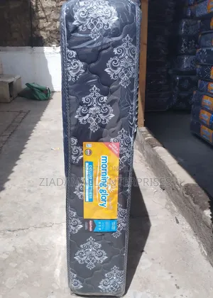 Morning Glory Foam Mattress 10 Inch Quilted 4*6