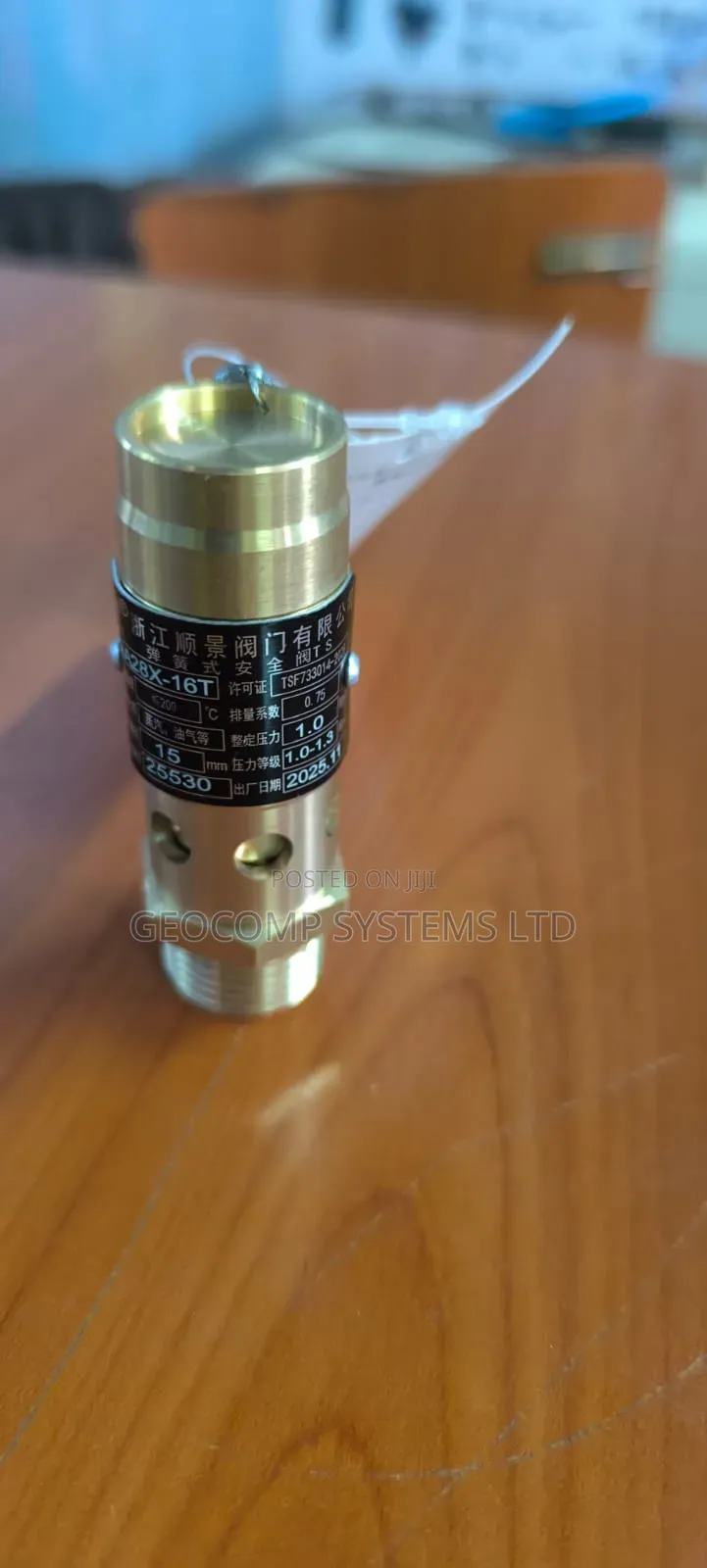 Safety Valve 1.0 Mpa