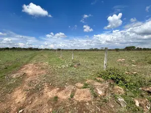 Birika –71 Acres for Sale Near Ereteti School