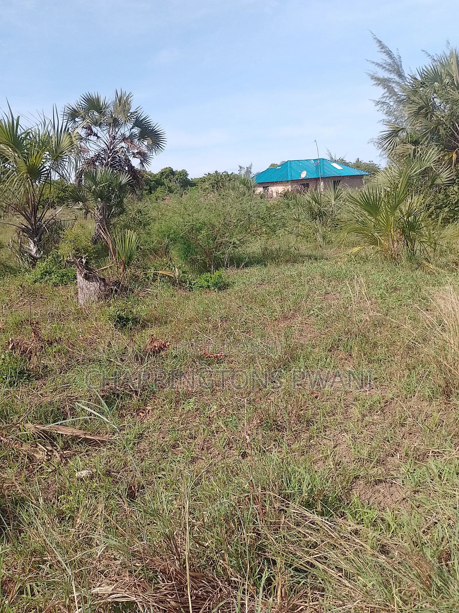 6.5 Acres | Flat | Tree Cover | Mwabungo Midlot