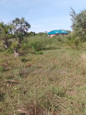 6.5 Acres | Flat | Tree Cover | Mwabungo Midlot