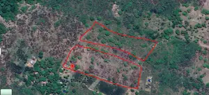 6.5 Acres | Flat | Tree Cover | Mwabungo Midlot