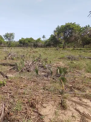 6.5 Acres | Flat | Tree Cover | Mwabungo Midlot