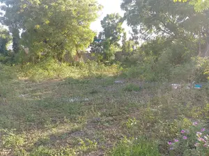 1⁄2 Acre Corner Plot | Perimeter Wall | 500m to Airport | Diani