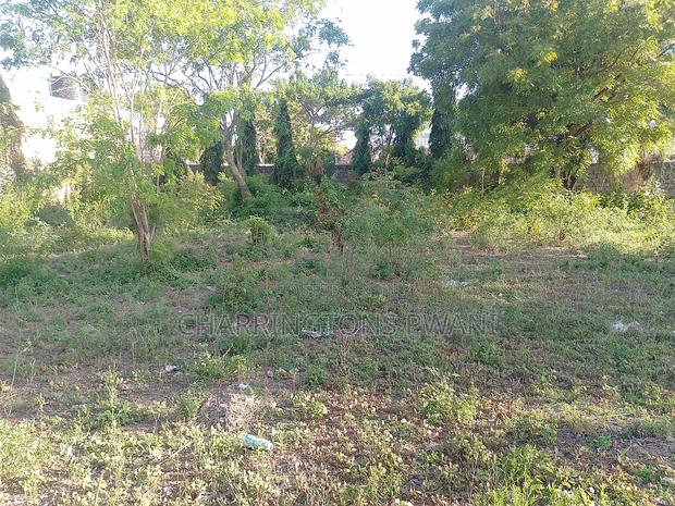 1⁄2 Acre Corner Plot | Perimeter Wall | 500m to Airport | Diani - thumbnail 5