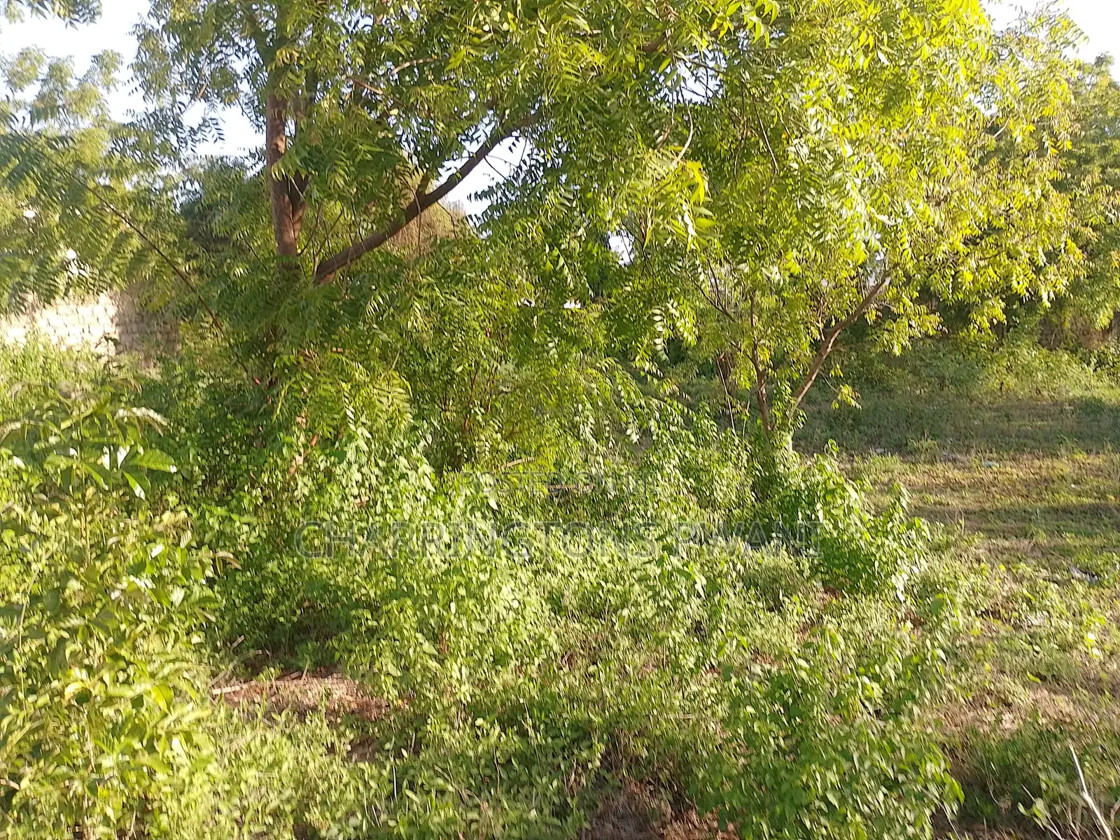1⁄2 Acre Corner Plot | Perimeter Wall | 500m to Airport | Diani