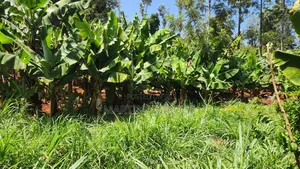 1 Acre Gatundu Near Town