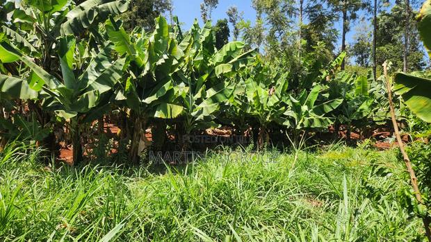 1 Acre Gatundu Near Town