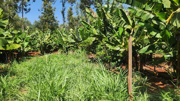 1 Acre Gatundu Near Town - thumbnail 2