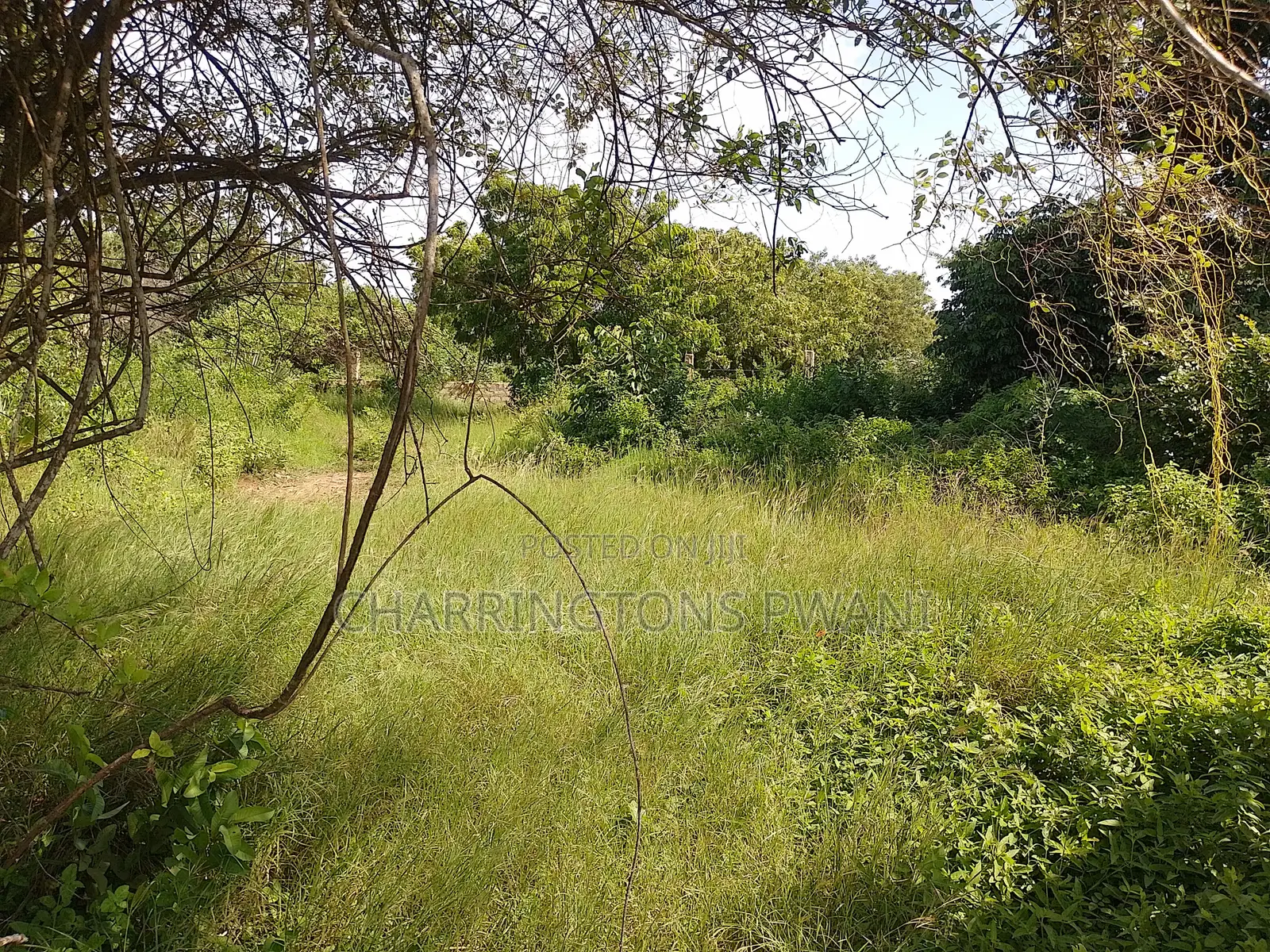 1 Acre Plot| 5th Row Diani | Flat| Perimeter Fence | All-Weather Road