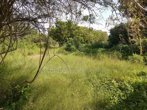 1 Acre Plot| 5th Row Diani | Flat| Perimeter Fence | All-Weather Road