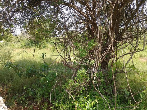 1 Acre Plot| 5th Row Diani | Flat| Perimeter Fence | All-Weather Road - thumbnail 2