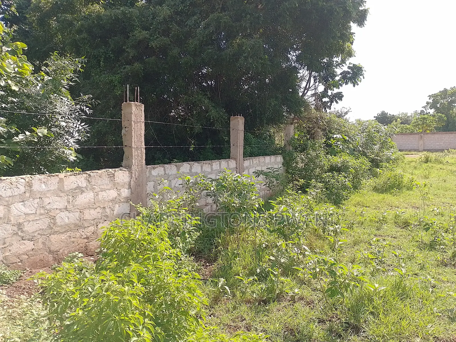 1 Acre Plot| 5th Row Diani | Flat| Perimeter Fence | All-Weather Road