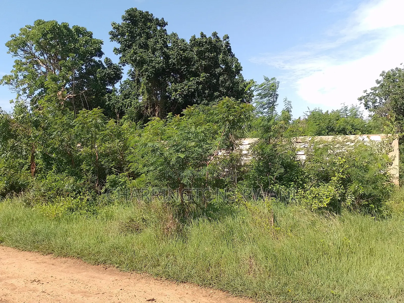 1 Acre Plot| 5th Row Diani | Flat| Perimeter Fence | All-Weather Road