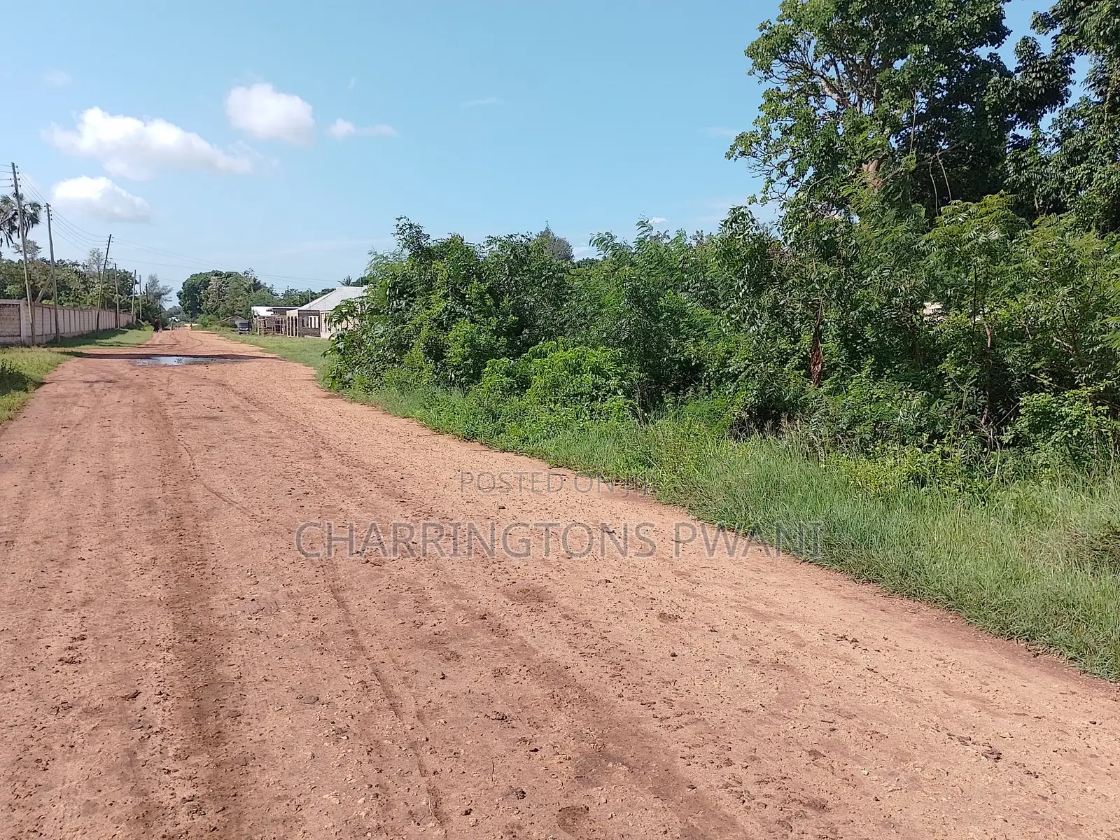 1 Acre Plot| 5th Row Diani | Flat| Perimeter Fence | All-Weather Road