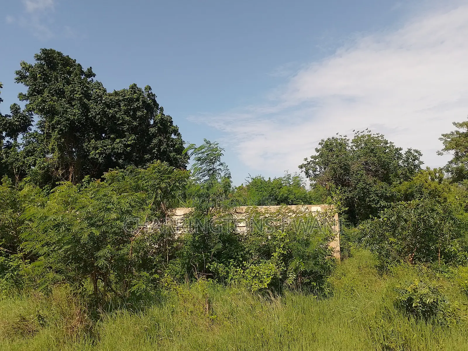 1 Acre Plot| 5th Row Diani | Flat| Perimeter Fence | All-Weather Road