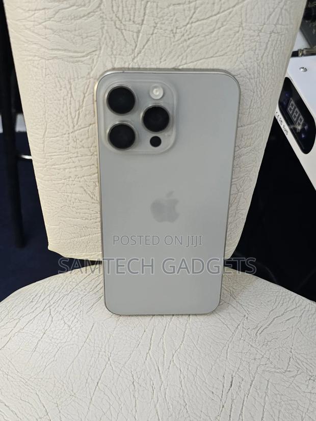 Apple iPhone 15 Pro Max 256 GB Gray