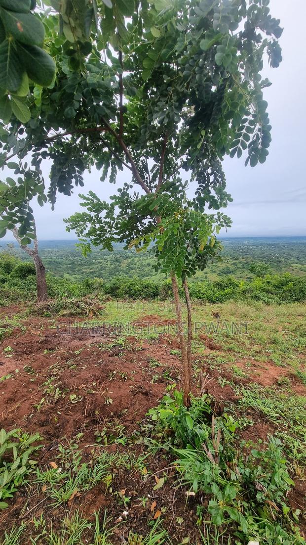4 Acres Hillside Plot | 180° Waterfront Views | Golini - thumbnail 4