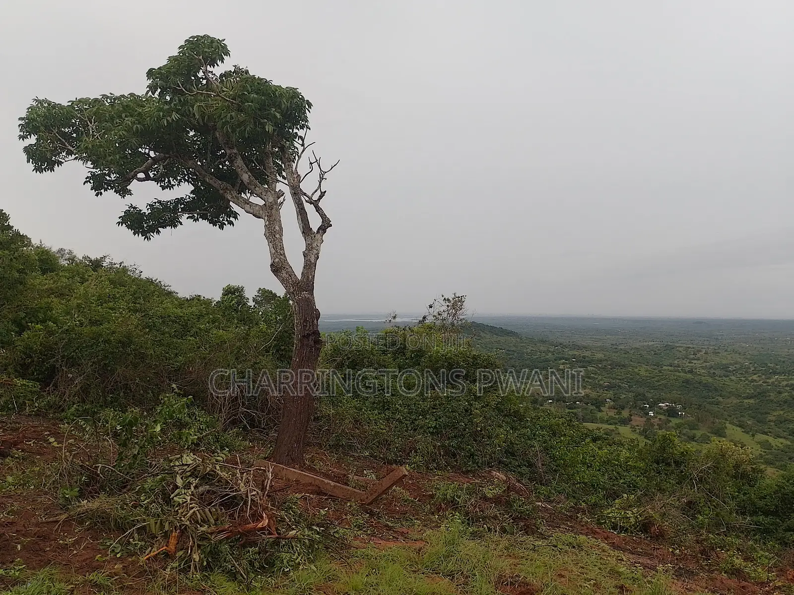 4 Acres Hillside Plot | 180° Waterfront Views | Golini