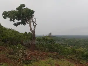4 Acres Hillside Plot | 180° Waterfront Views | Golini