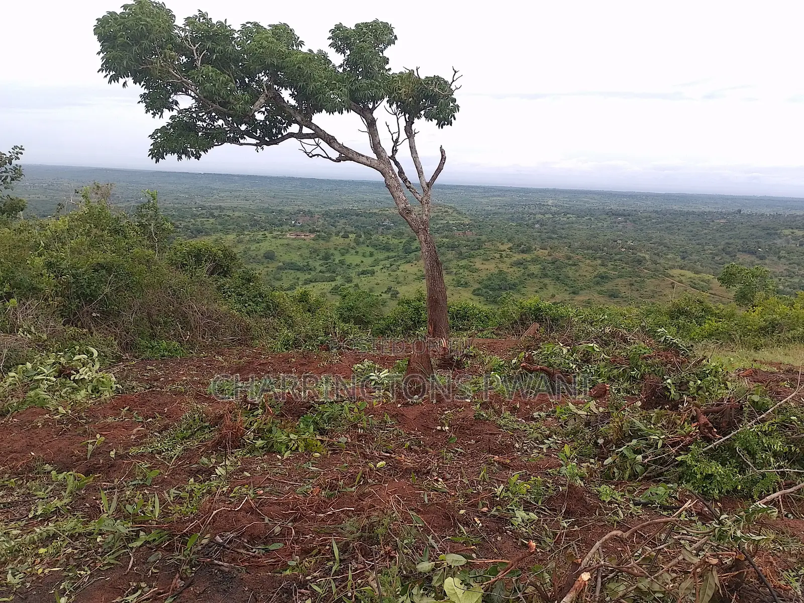 4 Acres Hillside Plot | 180° Waterfront Views | Golini
