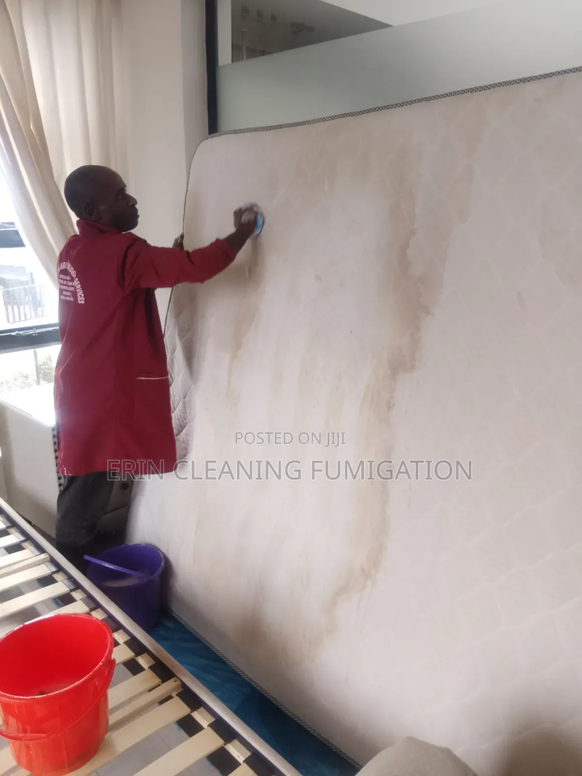 Mattress Cleaning and Fumigation Services