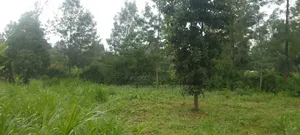 Plot for Sale at Wanguthu Along Banana Kiambu Road 3.5m