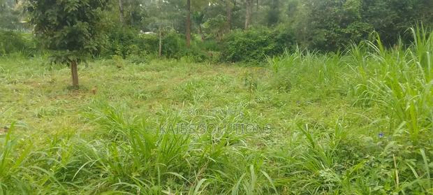 Plot for Sale at Wanguthu Along Banana Kiambu Road 3.5m - thumbnail 2