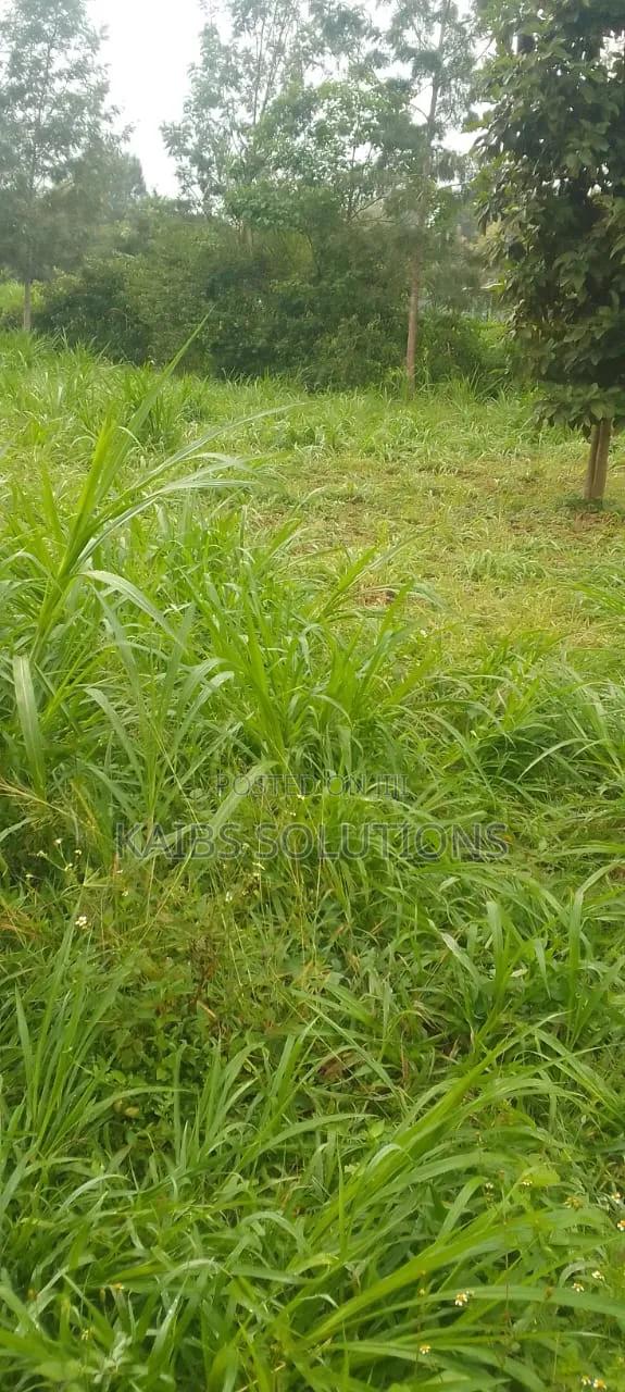 Plot for Sale at Wanguthu Along Banana Kiambu Road 3.5m - thumbnail 3