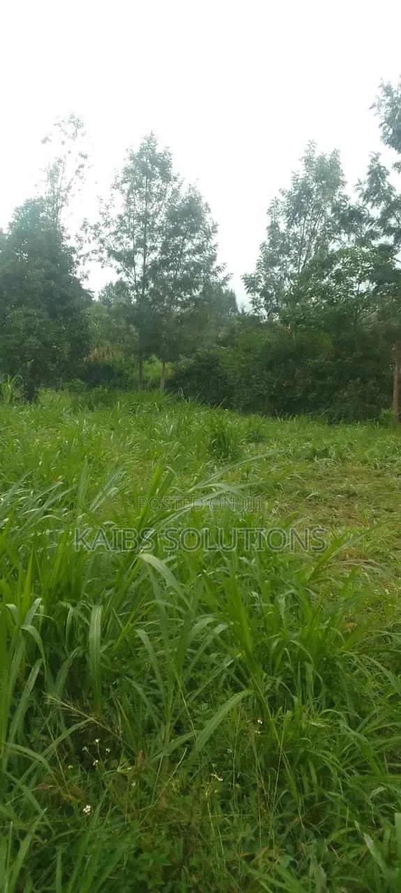 Plot for Sale at Wanguthu Along Banana Kiambu Road 3.5m - thumbnail 4