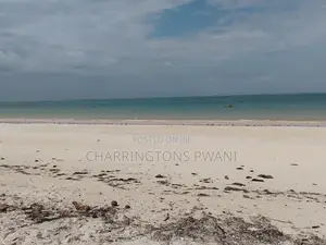 2.25 Acre Sandy Beachfront | Active Business Leases | Galu Diani