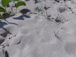 2.25 Acre Sandy Beachfront | Active Business Leases | Galu Diani