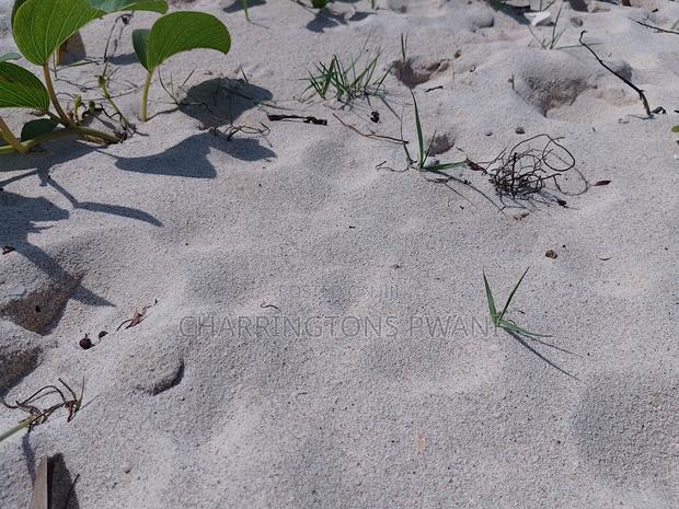 2.25 Acre Sandy Beachfront | Active Business Leases | Galu Diani - thumbnail 3