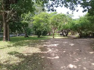 2.25 Acre Sandy Beachfront | Active Business Leases | Galu Diani