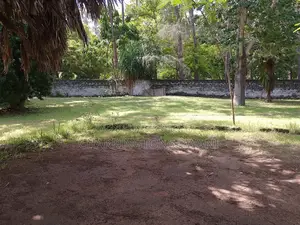 2.25 Acre Sandy Beachfront | Active Business Leases | Galu Diani