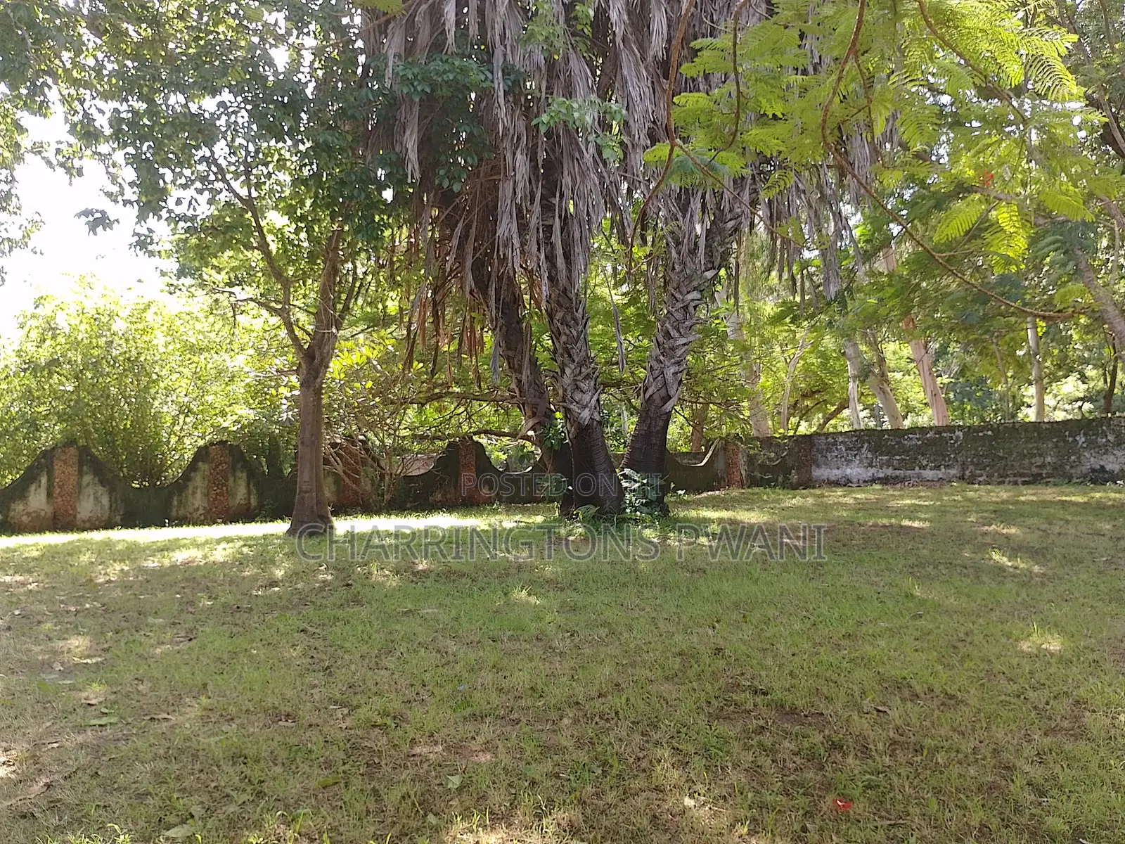 2.25 Acre Sandy Beachfront | Active Business Leases | Galu Diani