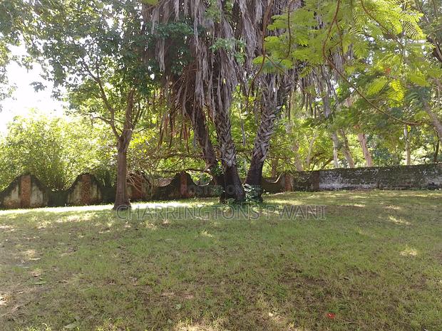 2.25 Acre Sandy Beachfront | Active Business Leases | Galu Diani - thumbnail 6